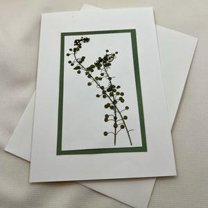 May include: White greeting card with a green border, featuring a pressed botanical design. The card is paired with a matching envelope. The botanical design includes delicate green stems and small, round seed pods.