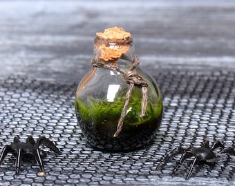 Tintura magica in una bottiglia di vetro in miniatura con tappo di sughero per Halloween