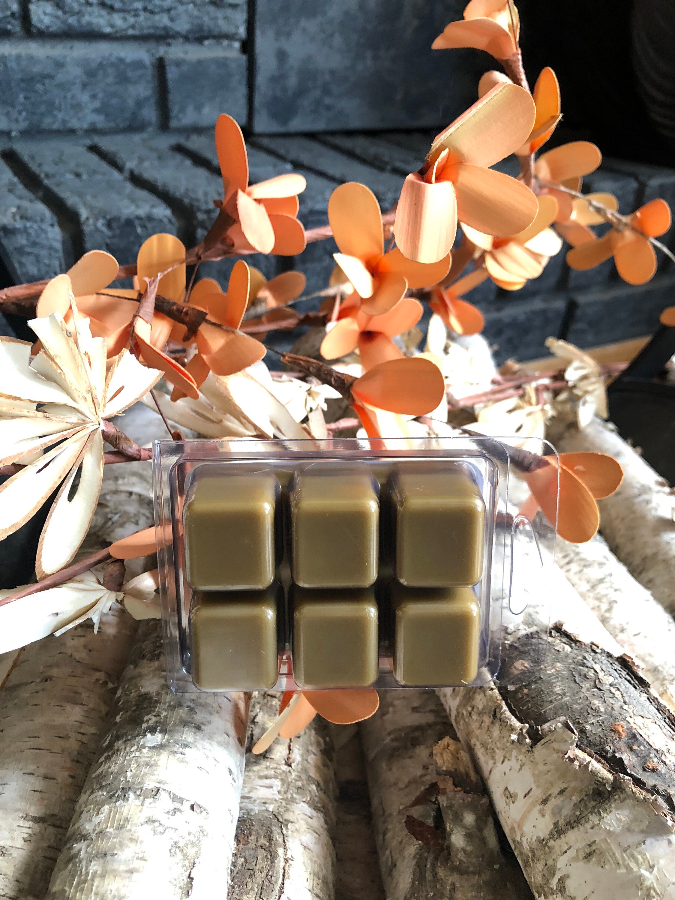 Cozy Cabin Soy Wax Melts Soy Wax Melts Fall Wax Melts Etsy UK