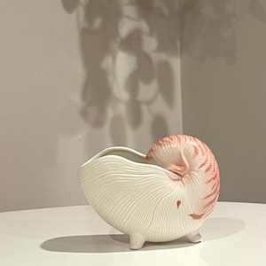 May include: A white ceramic planter shaped like a seashell with pink accents. The planter has a textured surface and three small feet.