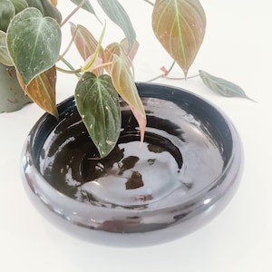 May include: A black ceramic bowl with a glossy finish. The bowl has a rounded shape and a slightly raised rim. The bowl is empty.