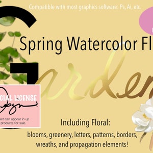 Imágenes prediseñadas, gráficos florales, ilustraciones PNG y fuentes con letras para ideas de productos de impresión a pedido