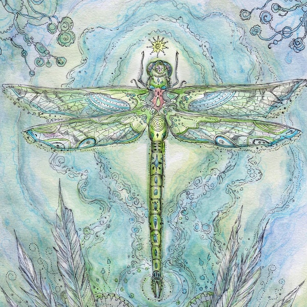 Dragonfly Art Prints - Luna Moth - Firefly - Spiders - Bees - Cicada - Honeybees