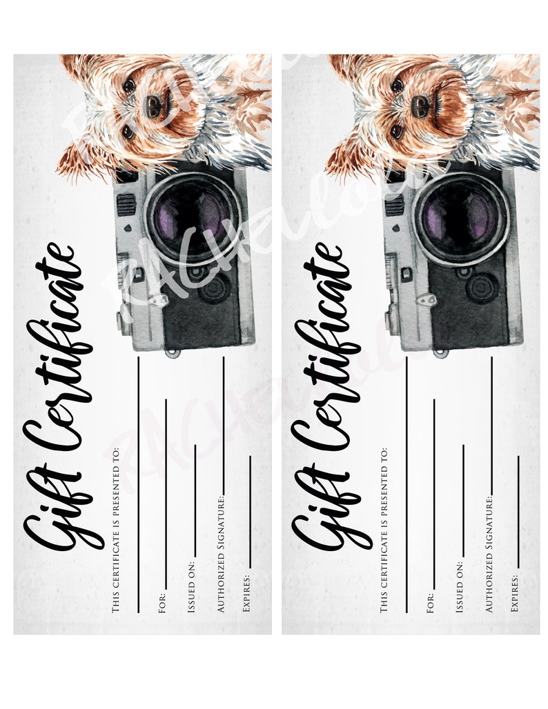 Printable Pet Photography coupon voucher, Gift Certificate template, Photo Session, Christmas, Dog Card, Photographer Instant download image 2