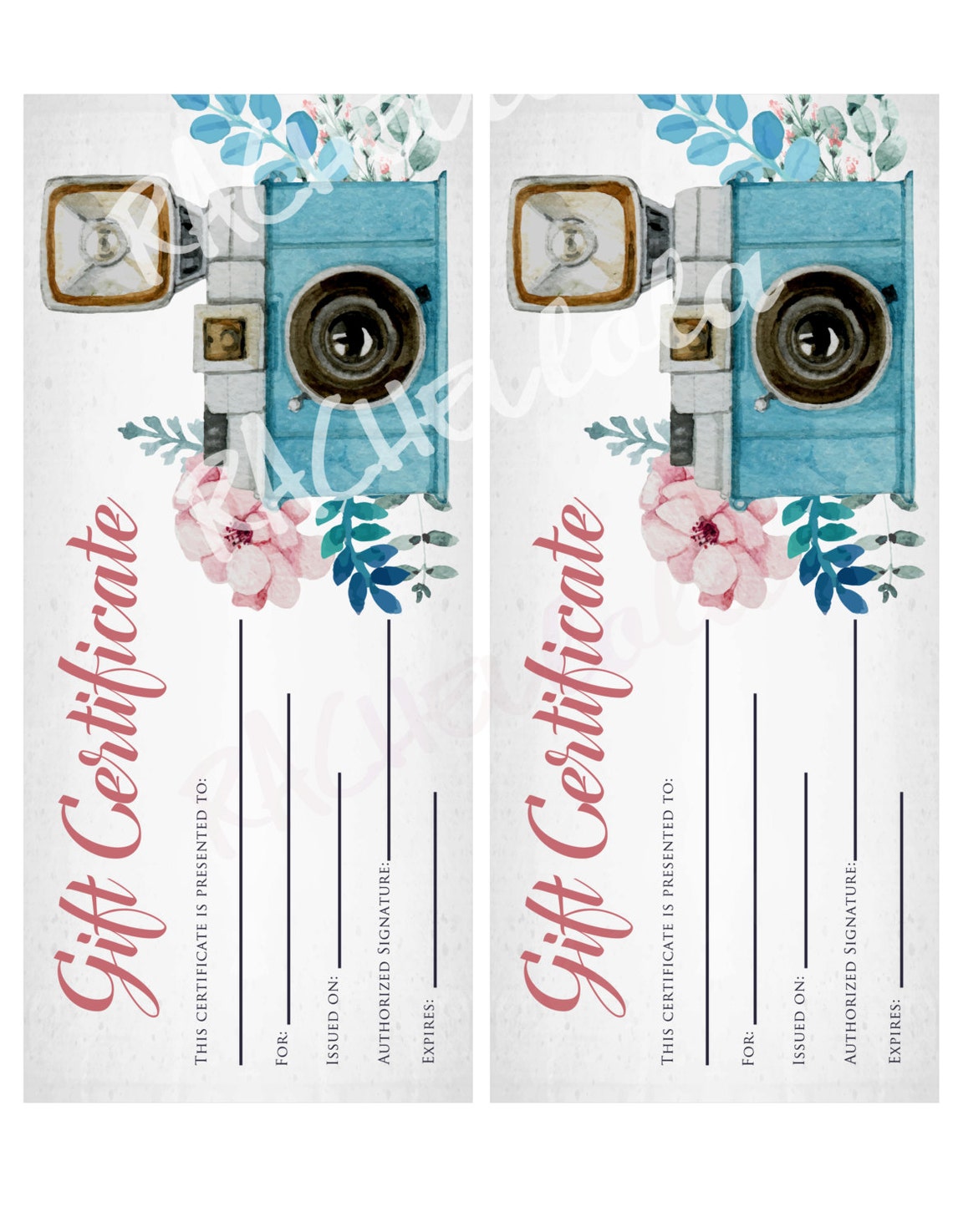 Printable Photography Gift Certificate Template Photo Session - Etsy