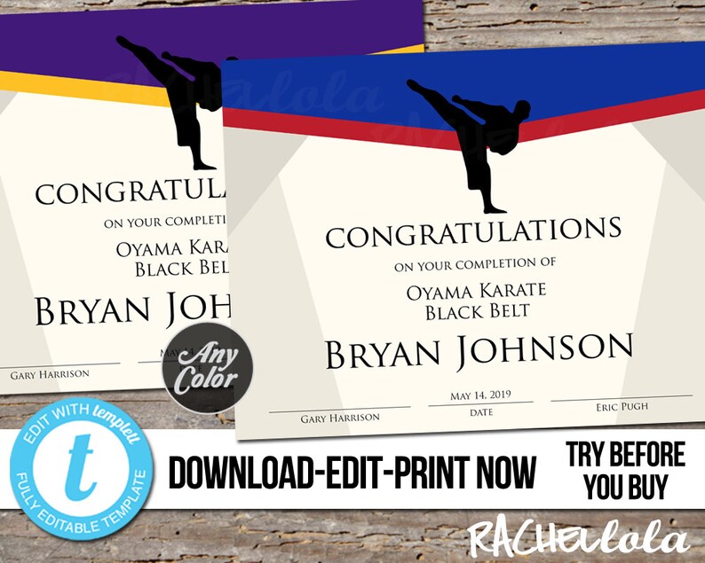 Editable Karate Award Certificate Custom Printable Template - Etsy UK