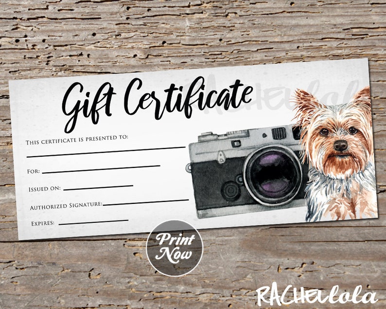 Printable Pet Photography coupon voucher, Gift Certificate template, Photo Session, Christmas, Dog Card, Photographer Instant download image 1