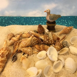 10 Seashells, Fairy Garden Miniatures Shells, Craft Projects