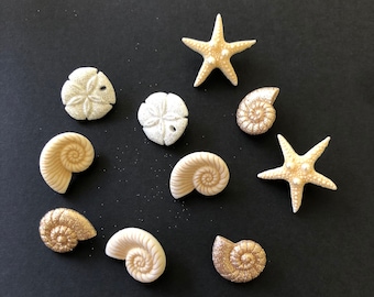 10 Seashell Buttons, Fairy Garden Accessories, Sewing Buttons