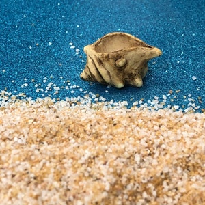 May include: A small, beige seashell-shaped planter sits on a sandy beach scene with a blue glitter background. The planter has a textured surface and an open top, perfect for small plants or succulents. The beach is made of sand and small white pebbles.