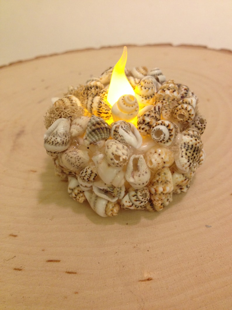 May include: A round LED candle covered in a dense arrangement of small, speckled, tan and white seashells. The candle emits a warm, glowing yellow light from a flame-shaped bulb at the center, surrounded by textured natural sea shells.