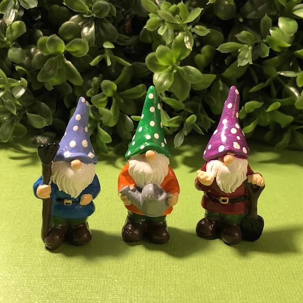 Miniature Garden Gnome Brothers, Mini Lawn and Garden Gnome Figurines, Landscape Gnomes