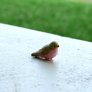 Miniature Bird, Pink Belly Bird,  Fairy Garden, Miniature Accessory, Fairy Miniatures, Terrarium Supplies