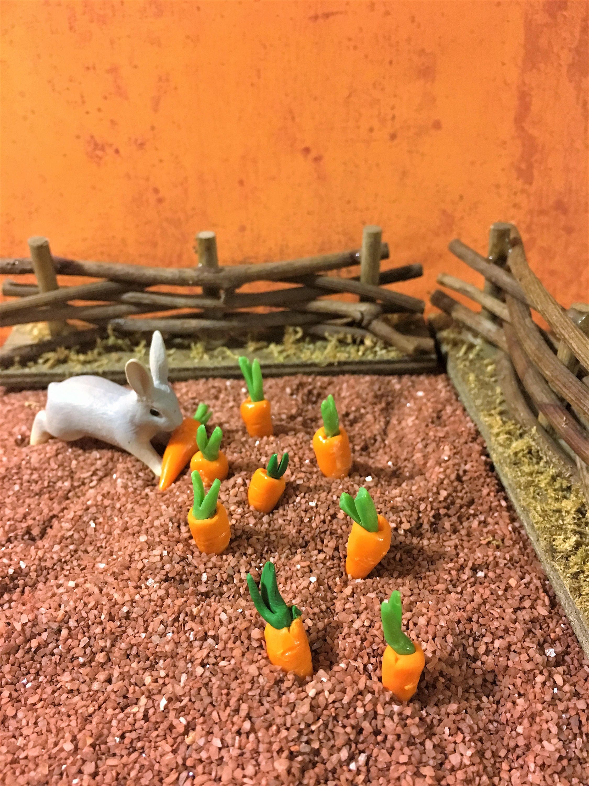 fairy vegetable garden Fairy garden vegetables miniature food miniature carrots miniature vegetables dollhouse garden gnome gardens