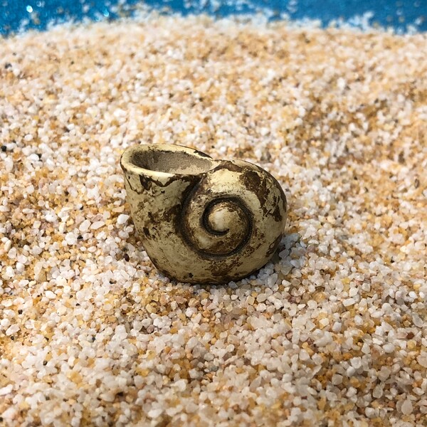 Miniature Seashell, Snail Shell, Snail Shell Planter, Shell Flowers