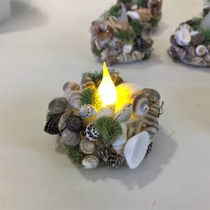 May include: A circular candle holder decorated with various small brown, white, and grey seashells and patches of green moss. A bright yellow LED flame sits in the center, emitting a warm glow from within the shell and moss arrangement.