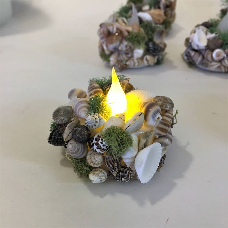 May include: A circular candle holder decorated with various small brown, white, and grey seashells and patches of green moss. A bright yellow LED flame sits in the center, emitting a warm glow from within the shell and moss arrangement.