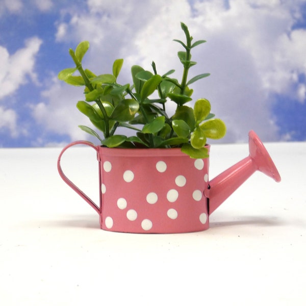 Choose Pink or Green Small Watering Can for your Small Garden, Miniature Display Watering Can