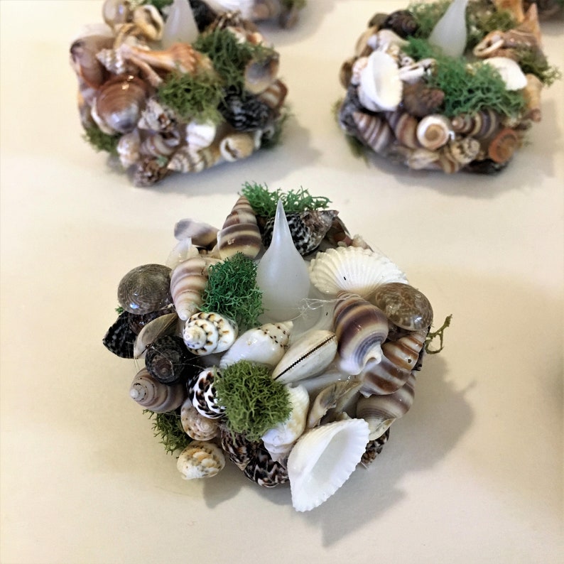 May include: A circular candle holder decorated with a variety of small, multi-colored seashells and patches of bright green preserved moss. A central, translucent, flame-shaped LED candle sits in the middle of the shell arrangement.