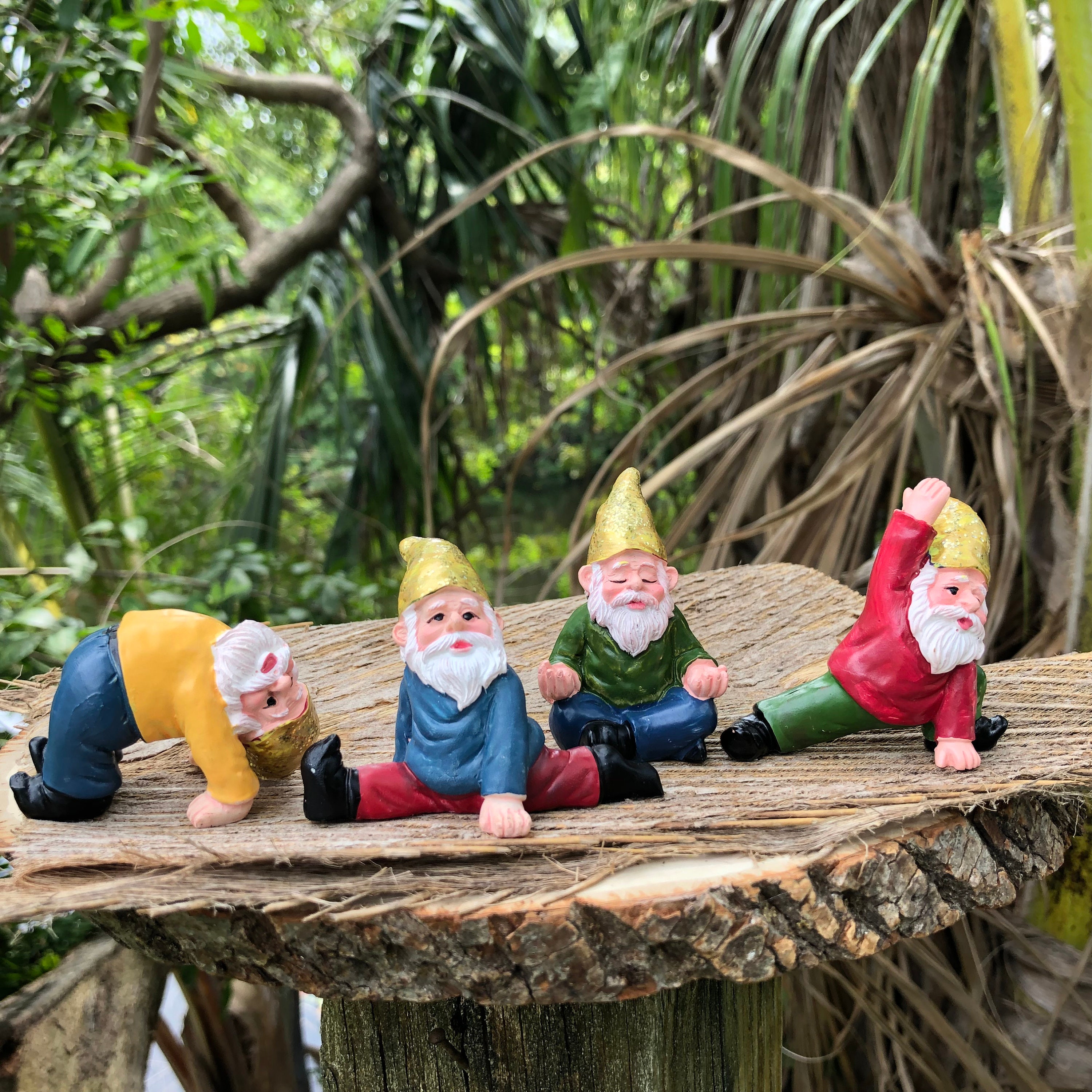 garden gnomes with grass hair craft for kids