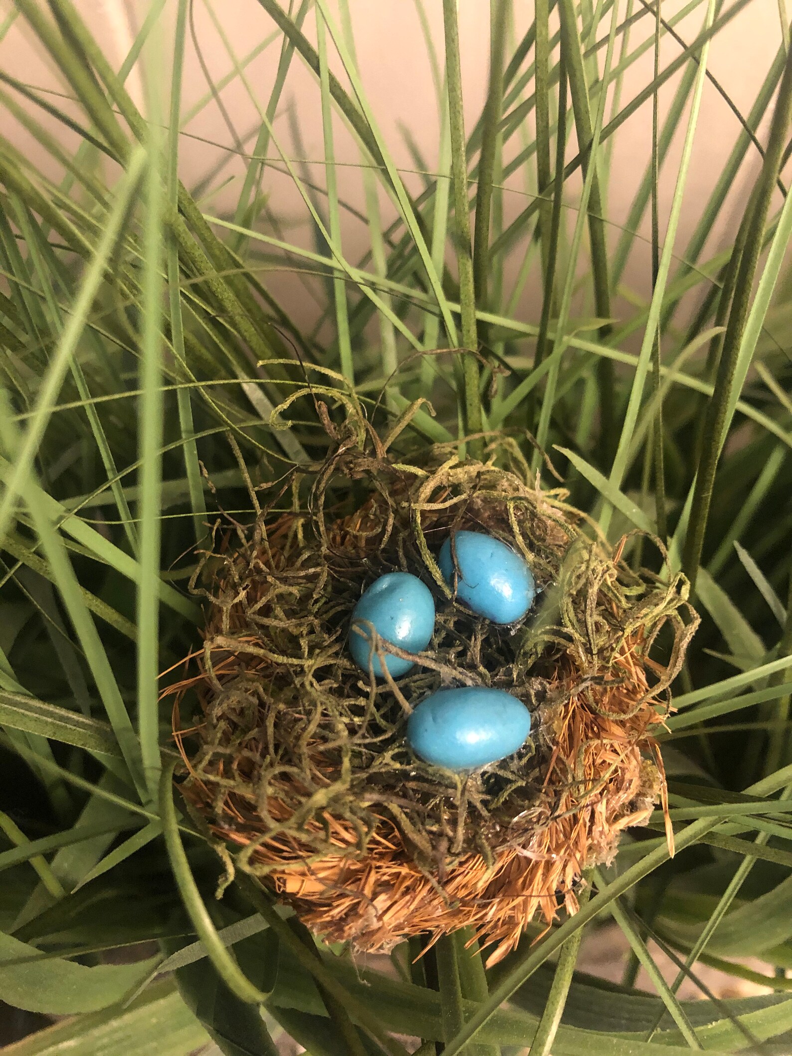 Miniature Bird Nest With Eggs Small Nest Fairy Garden Nests Etsy UK