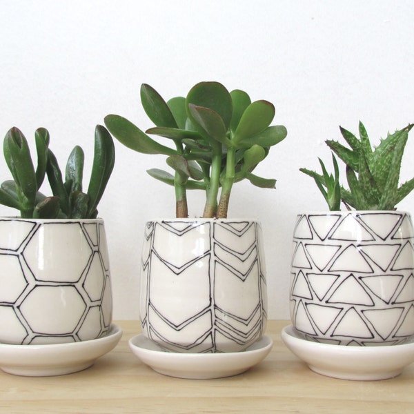 READY TO SHIP. Set Of Three Small Black and White Geometric Planters. Modern. Handmade porcelain planters. Drainage hole.