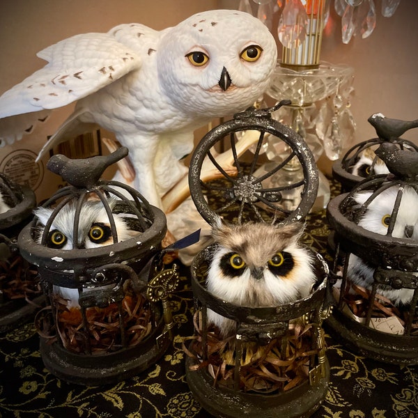 ThreeMoonBrooms Magickal Animal Rescue Owl Adoptions Wizarding World Witch familiar spirit animal Hedge witch cottage core Witchy decor