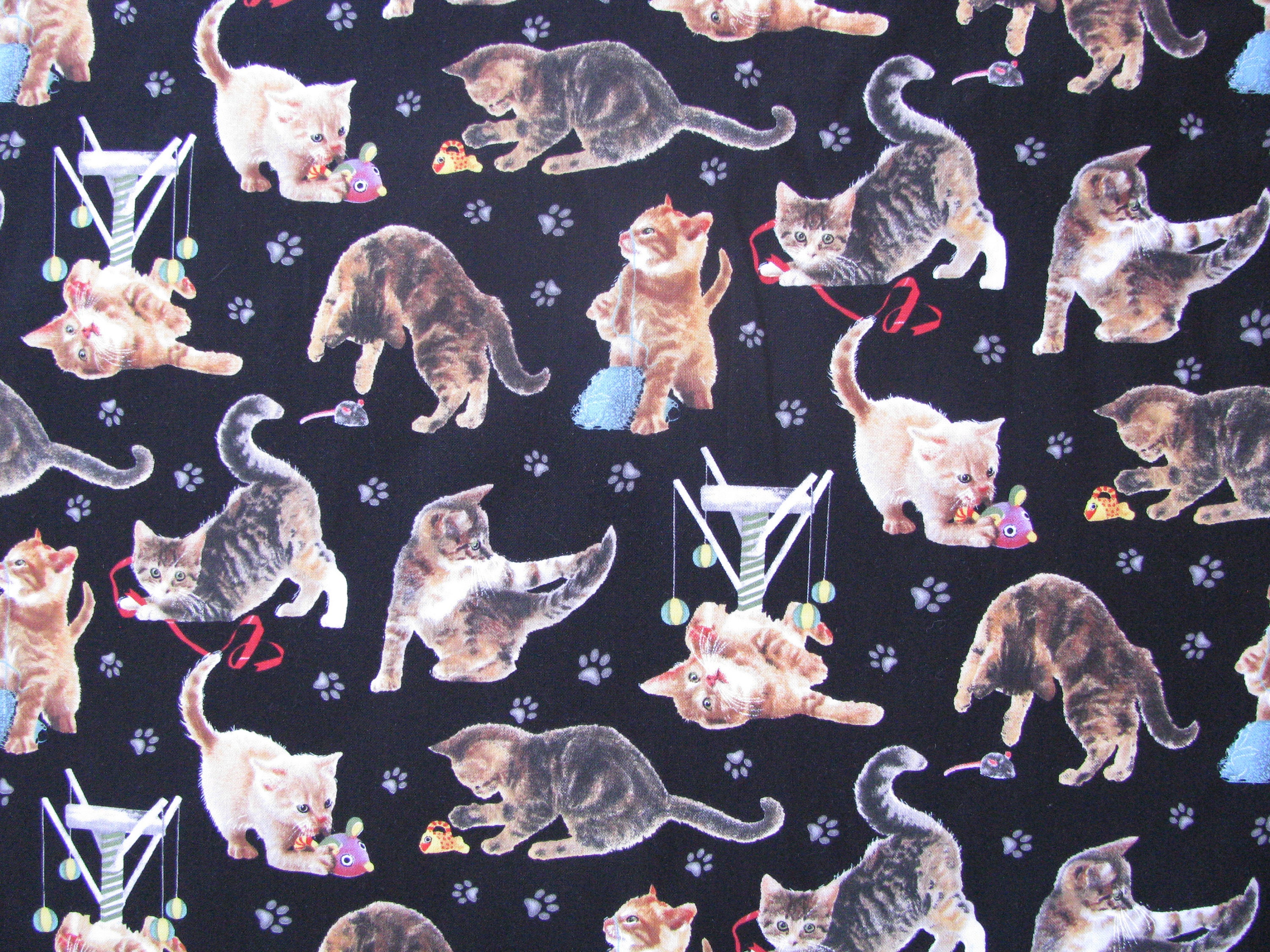 Cat Fabric Kittens Fabric By the Yard Cat Breeds Animal Etsy
