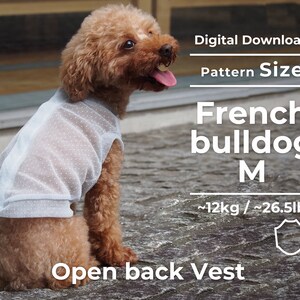 May include: A digital download pattern for a French Bulldog vest, size M, for dogs weighing approximately 12 kg or 26.5 lbs. The vest is made of a light, sheer fabric with a dotted pattern and has an open back.