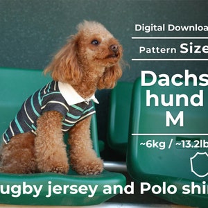 Può includere: Una maglia da rugby e una polo a righe marroni e bianche per cani. La maglia è su una panchina verde con il testo "Download digitale", "Dimensione del modello", "Dachs hund M", "~6kg/~13.2lb" e "Maglia da rugby e polo".