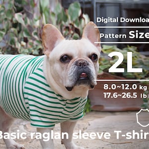 Basic raglan sleeve T-shirt | PDF Dog Clothes Pattern | size: 2L