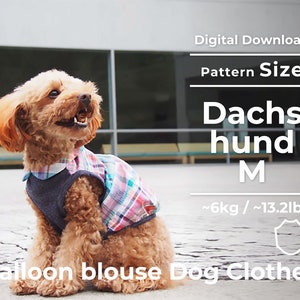 Könnte beinhalten: Digitaler Download-Schnittmuster für eine Hunde-Bluse in Größe M für Dackel mit einem Gewicht von ca. 6 kg oder 13,2 lb. Das Schnittmuster ist für einen Ballonblusen-Stil. Das Bild zeigt einen braunen und weißen Hund, der die Bluse trägt.