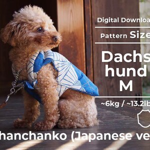 Könnte beinhalten: Ein brauner und weißer Dackel, der eine blaue und weiße gemusterte Weste mit dem Text "Chanchanko (japanische Weste)" trägt. Die Weste ist ein Schnittmuster für Hunde mit einem Gewicht von 6 bis 13,2 Pfund.