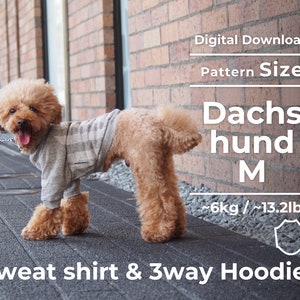 Può includere: Un piccolo cane marrone chiaro indossa una felpa grigia e bianca a quadri e un guinzaglio. L'immagine include il testo "Download digitale", "Dimensione del modello", "Bassotto M" e "Sweat shirt & 3way Hoodies". Il cane pesa circa 6 kg.