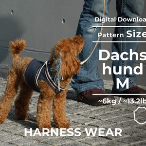 Może przedstawiać: Brązowy pudel w dżinsowej uprzęży z białymi i niebieskimi wykończeniami. Obraz zawiera tekst "Pobieranie cyfrowe", "Rozmiar wzoru", "Dachshund M" i "HARNESS WEAR". Pies waży około 6 kg.