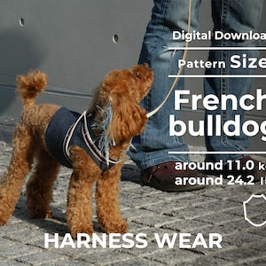 Könnte beinhalten: Ein brauner und weißer Französischer Bulldogge trägt ein blaues Jeans-Geschirr mit einem weißen und blauen gemusterten Riemen. Der Hund wird von einer Person in blauen Jeans geführt. Der Text "Digital Download Pattern Size French bulldog around 11.0 kg around 24.2 lb HARNESS WEAR" ist auf dem Bild zu sehen.