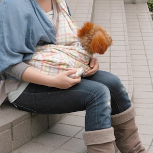 Op de afbeelding: Een vrouw die een blauwe denimjas en jeans draagt, draagt een kleine bruine en witte hond in een geruite draagzak. De hond kijkt naar de zijkant.