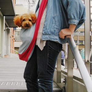 Op de afbeelding: Een persoon draagt een blauwe denimjas met een rood-blauwe sjaal en draagt een kleine bruine en witte hond in een blauwe en rode draagzak.