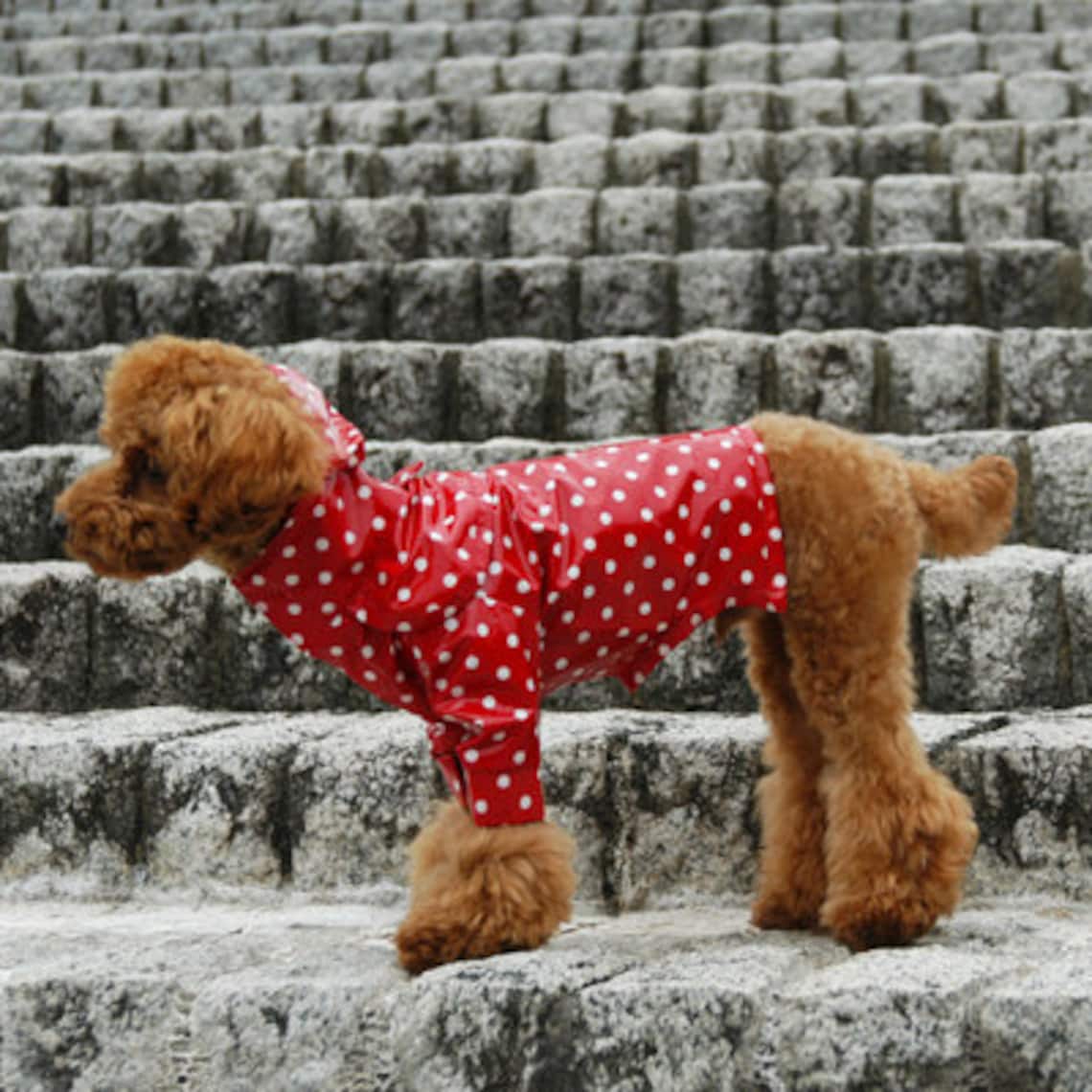 Dog Clothes RAINCOAT PDF Pattern and Recipe Etsy