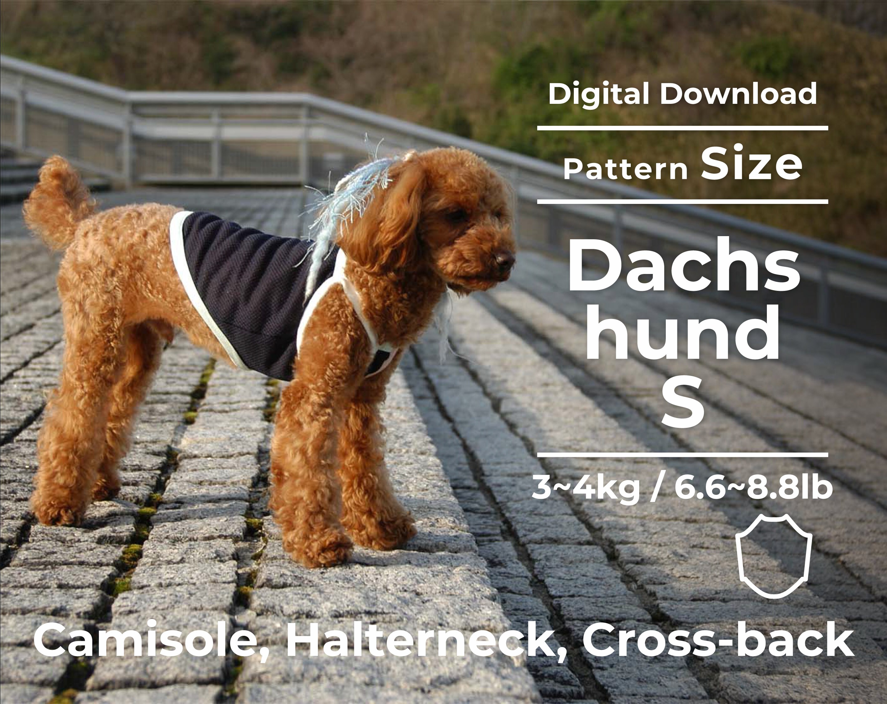 Revision mad Falde sammen 3 Ways Camisole PDF Dog Clothes Pattern Size : Dachshund S - Etsy