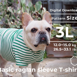 May include: A white French bulldog wearing a green and white striped raglan sleeve T-shirt. The shirt is a digital download pattern for sizes 12.0-15.0 kg (26.5-33.1 lb).