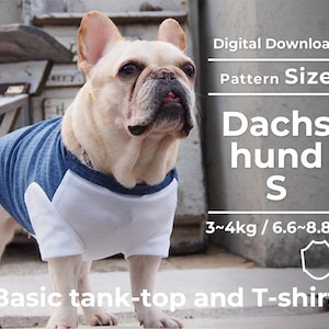 May include: A white French bulldog wearing a blue and white tank top. The dog is standing on a concrete surface. The text "Digital Download", "Pattern Size", "Dachs hund S", "3~4kg / 6.6~8.8lb", and "Basic tank-top and T-shirt" is visible in the image.