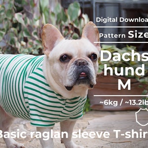 Puede incluir: Un patrón de descarga digital para una camiseta básica de manga raglan para un perro Dachshund. El patrón es para la talla M, que se adapta a perros que pesan aproximadamente 6 kg o 13,2 lb. La imagen muestra un Bulldog Francés con una camiseta a rayas verdes y blancas.