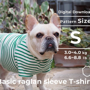 May include: A digital download pattern for a basic raglan sleeve T-shirt for a small dog. The pattern is for a dog that weighs between 6.6 and 8.8 pounds or 3.0 to 4.0 kilograms. The pattern is shown on a French Bulldog wearing a green and white striped shirt.