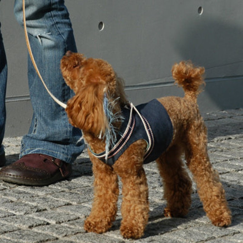 LOVELY Dog Wear HARNESS WEAR Pattern &Recipe Etsy