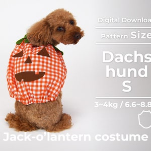 Halloween Jack-o'-lantern costume  | PDF Dog Clothes Pattern | size: Dachshund S (DS)