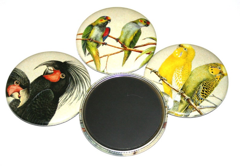 Australian Birds Set of 4 Large Fridge Bird Wild Etsy Australia