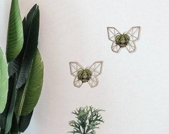 Butterfly Indoor Wall Planter, Air Plant Holder, Hanging Planter, Home Décor, UK Made, Plant Trellis