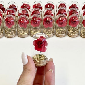 Red Wedding Favors for Guests, Beauty and the Best Party Favors, Glass Cloche Rose Dome Favors, Bulk Wholesale Favors Souvenirs Promo Gifts