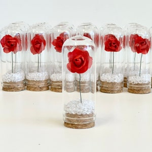 Red Wedding Favors for Guests, Beauty and the Best Party Favors, Glass Cloche Rose Dome Favors, Bulk Wholesale Favors Souvenirs Promo Gifts